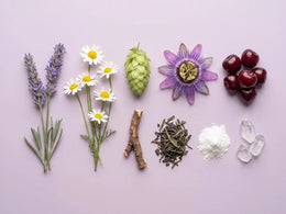 9 aktiva ingredienser för sömn
