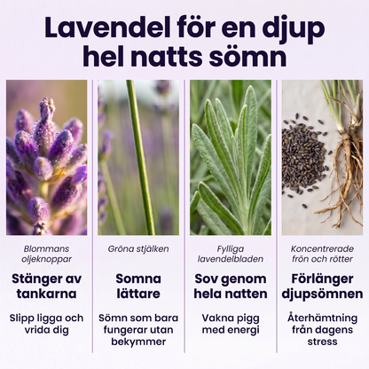 Pätches Sömnplåster